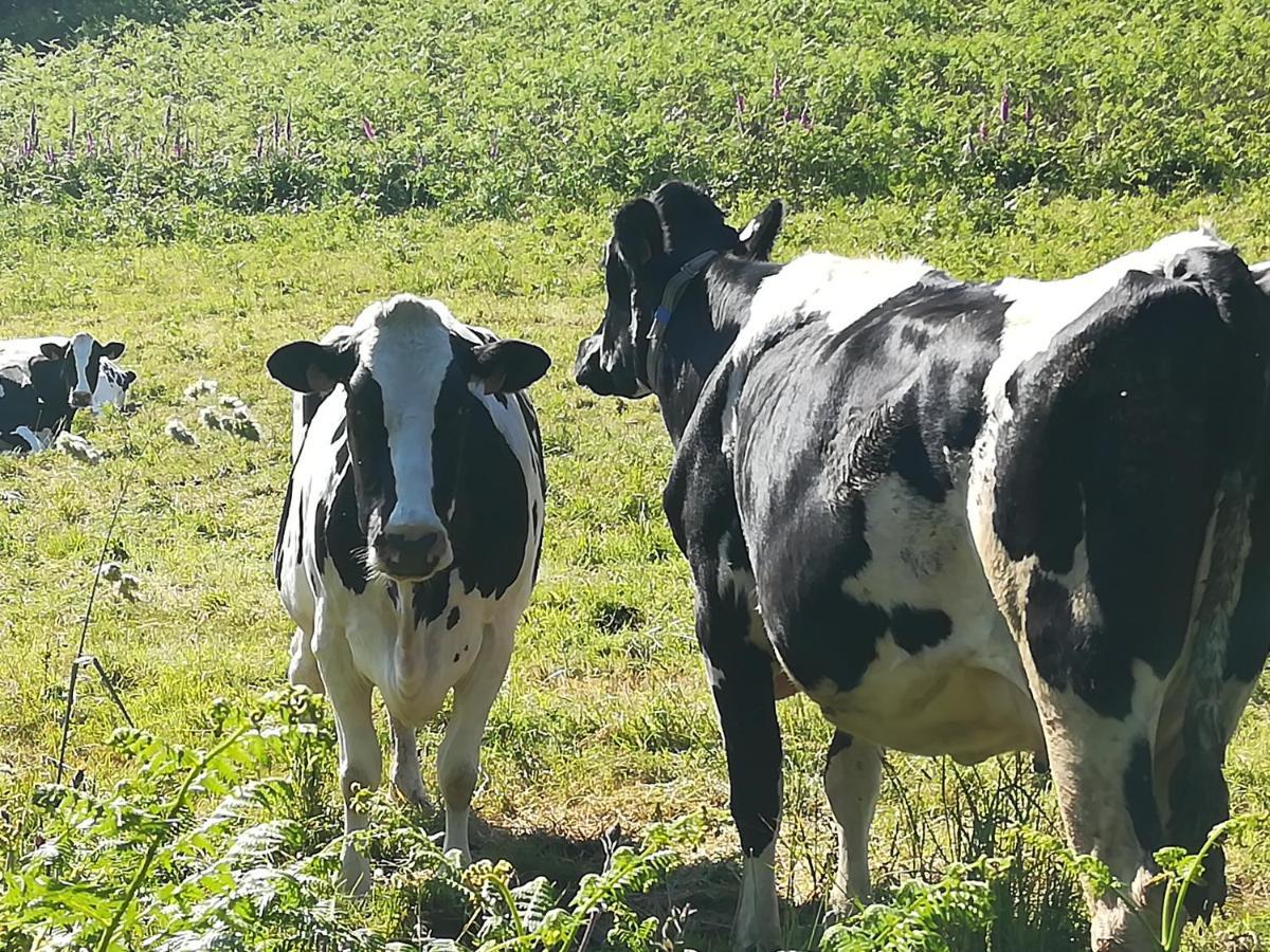 Le Gite Donemat Ploudalmézeau Exteriör bild